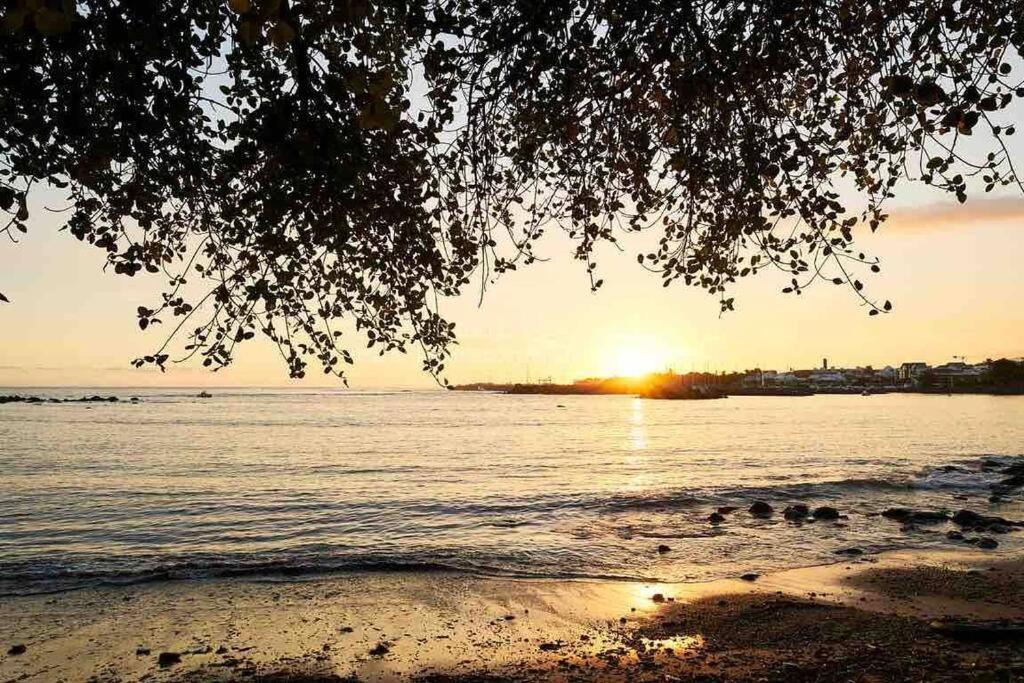 Appartement A 2 Pas De La Plage De Terre Sainte Kültér fotó